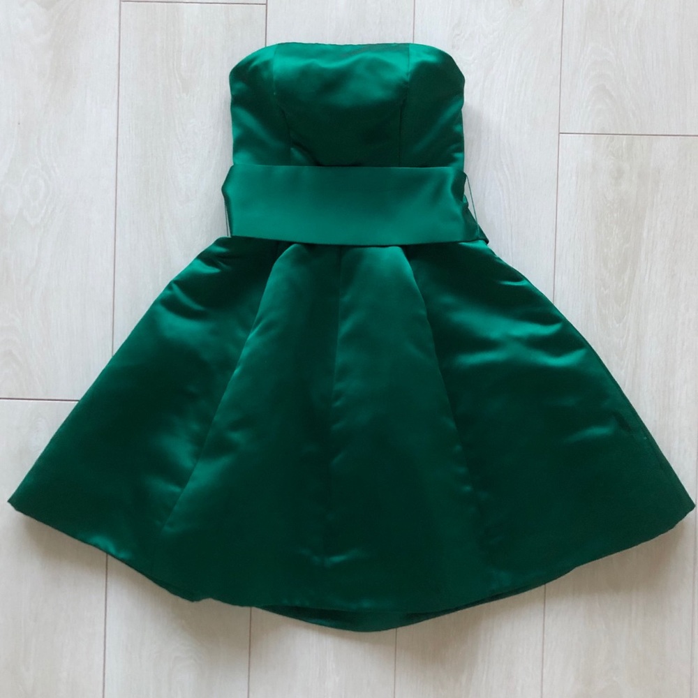 Catherine Regehr Dress